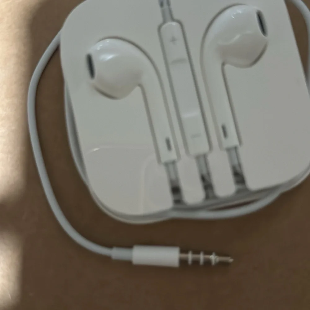 Apple Headphones with microphone